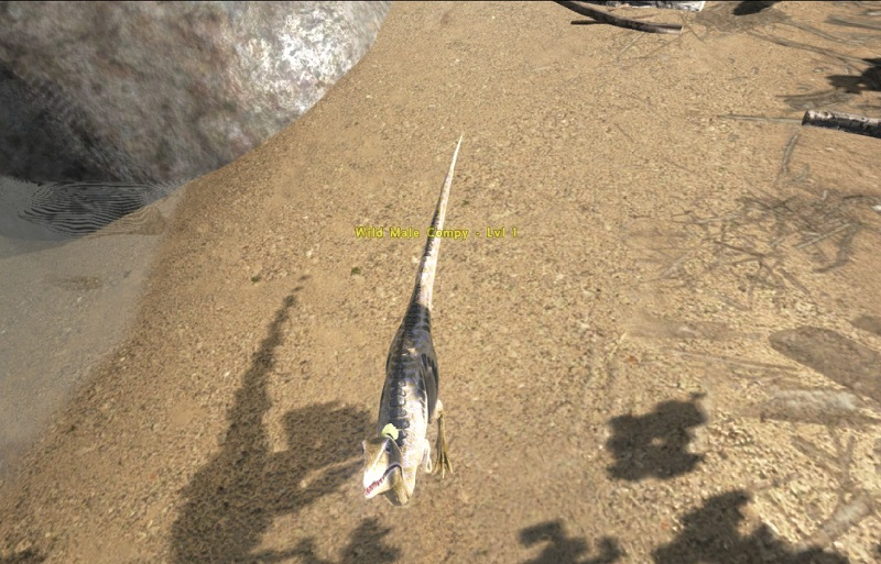 Illustration for article titled Why Everything Keeps Staring At Me In ARK: Survival Evolved